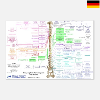 Das periphere Nervensystem des Hundes (DEU)
